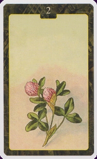 Lenormand Oracle Cards
